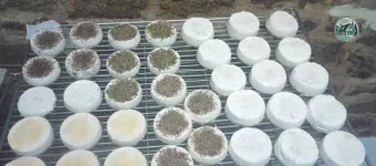 Fromage de CHÈVRE des Fossés