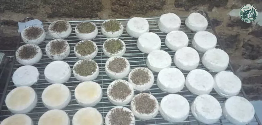 Fromage de CHÈVRE des Fossés