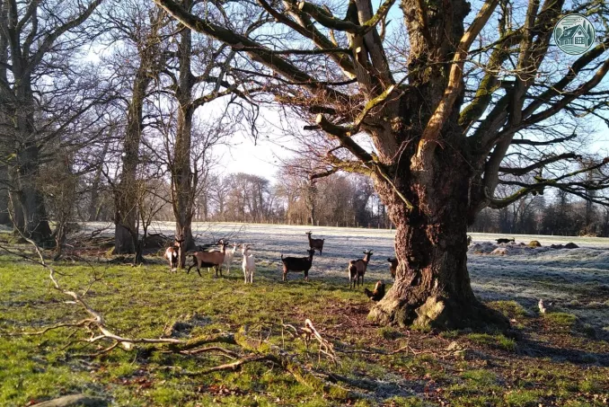 Kerflaveur extrérieur