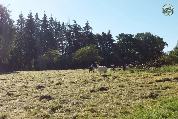 Kerflaveur extrérieur