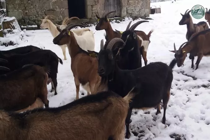 Kerflaveur extrérieur